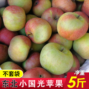 正宗东北小国光苹果老树国光绿色新鲜水果青酸甜酥脆苹果5斤 包邮