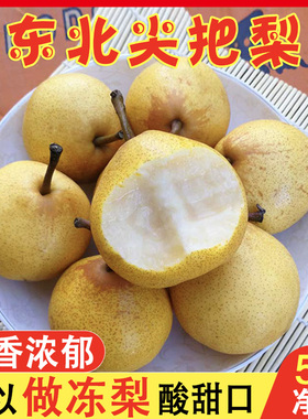 尖把梨东北特产秋子梨可做冻梨辽宁鞍山小酸梨孕妇水果包邮葫芦梨