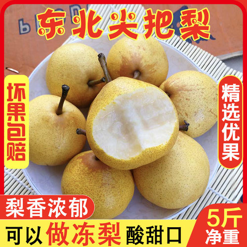 东北特产辽宁鞍山梨葫芦梨尖把梨