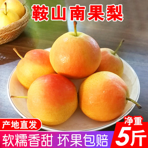 南国梨鞍山香水梨南果梨东北特产