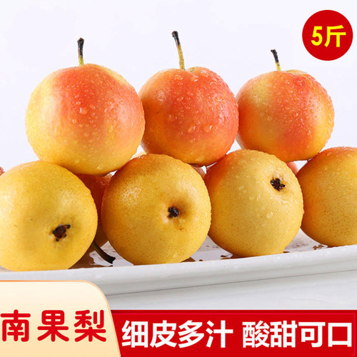 鞍山5斤海城东北特产新鲜南果梨