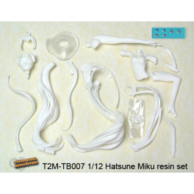T2M 1/12 初音未来树脂套装 手版白模 TB007