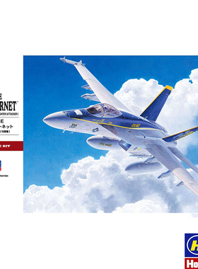 长谷川 1/48 美国F/A -18E  超级大黄蜂 战斗机 07239