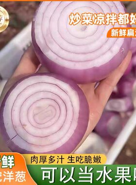 山东新鲜二红扁水果洋葱甜味生吃洋葱元葱头小洋葱圆葱新鲜蔬菜
