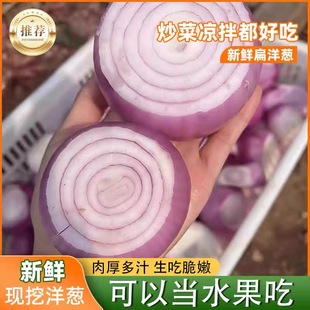 山东新鲜二红扁水果洋葱甜味生吃洋葱元葱头小洋葱圆葱新鲜蔬菜
