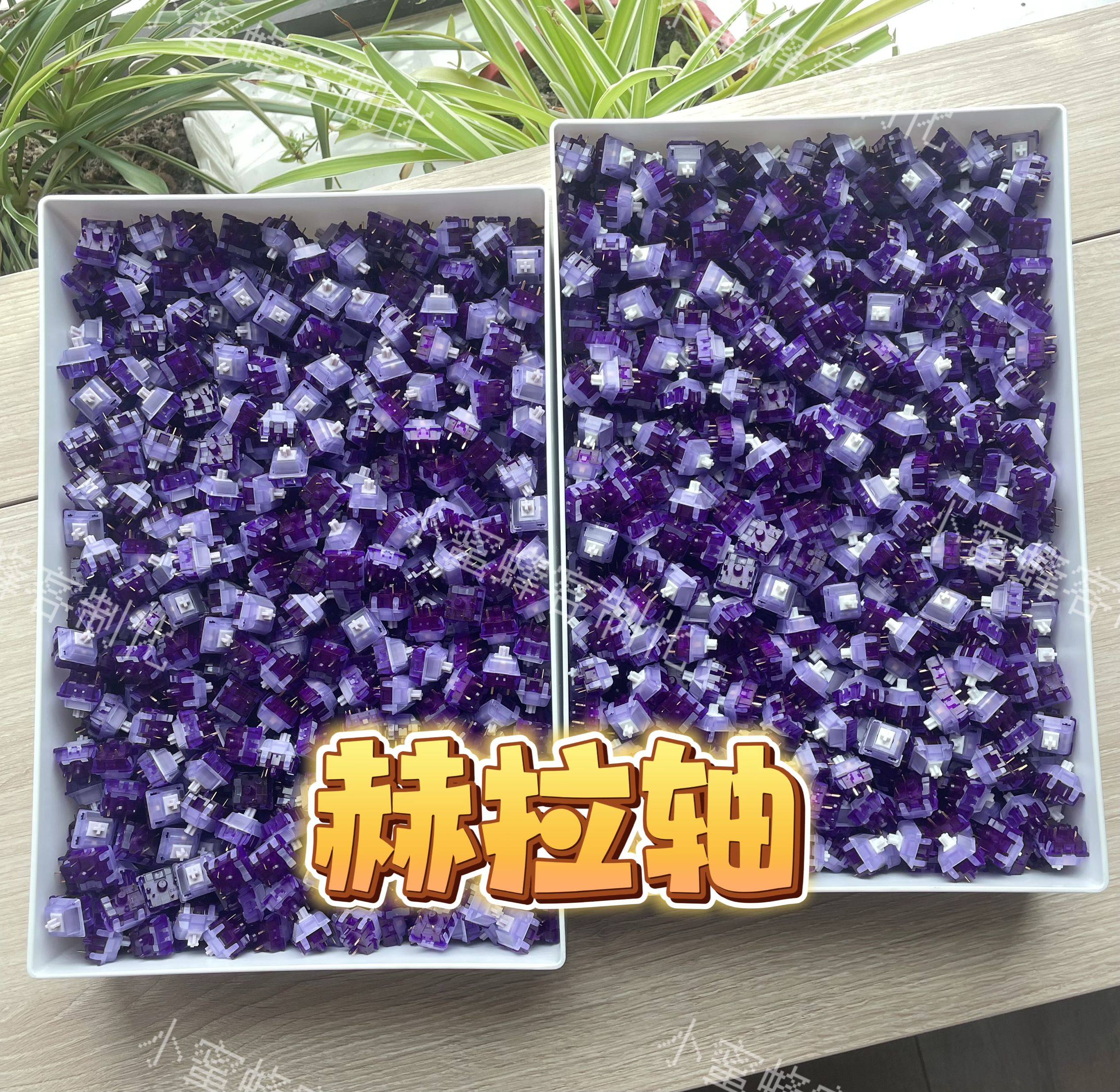 赫拉轴，小蜜蜂手工精润，正版米勒3204润滑，到手即用，顺丰包邮