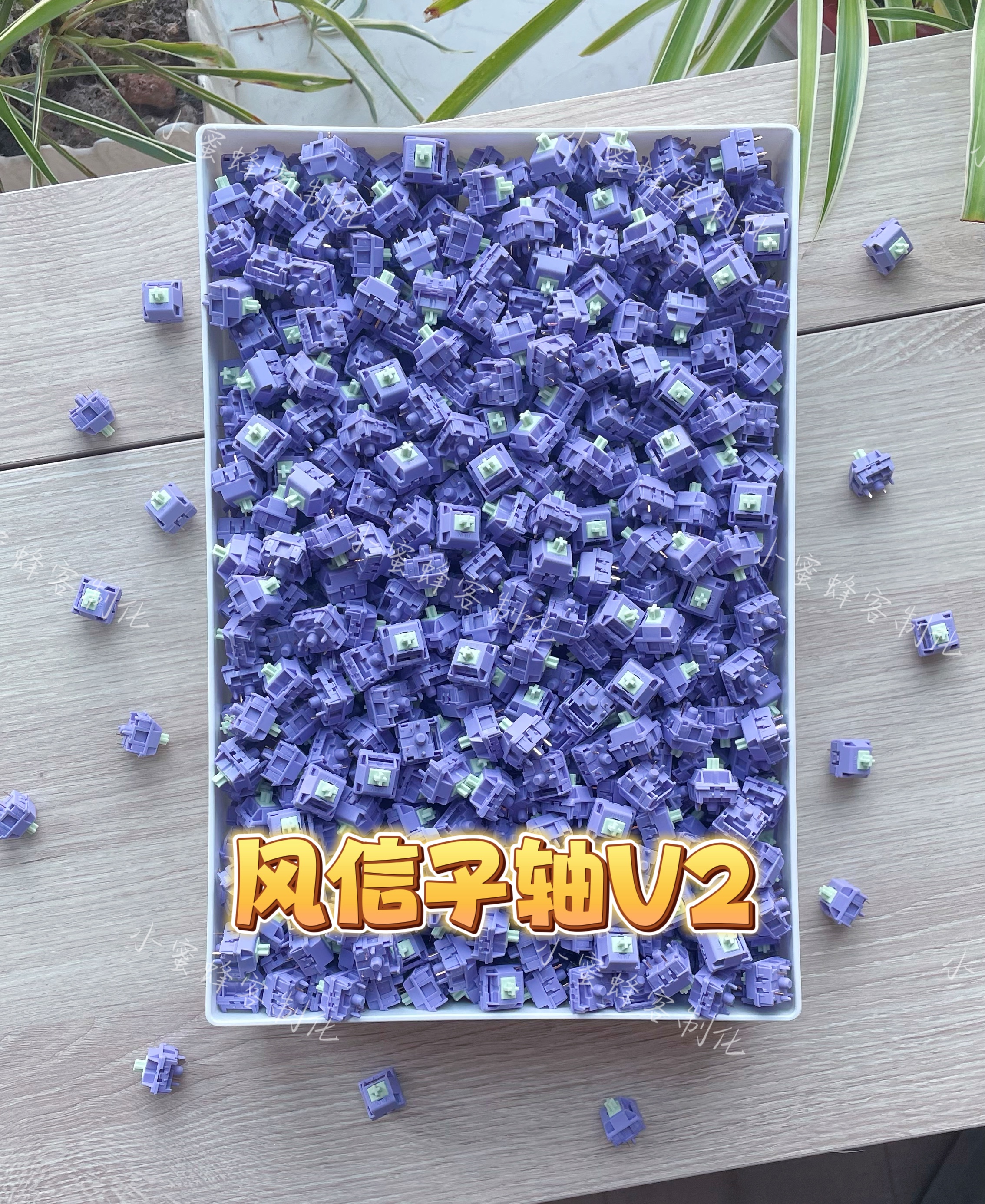 风信子轴v2 全新现货 客制化机械键盘轴体 正版米勒3204手工精润