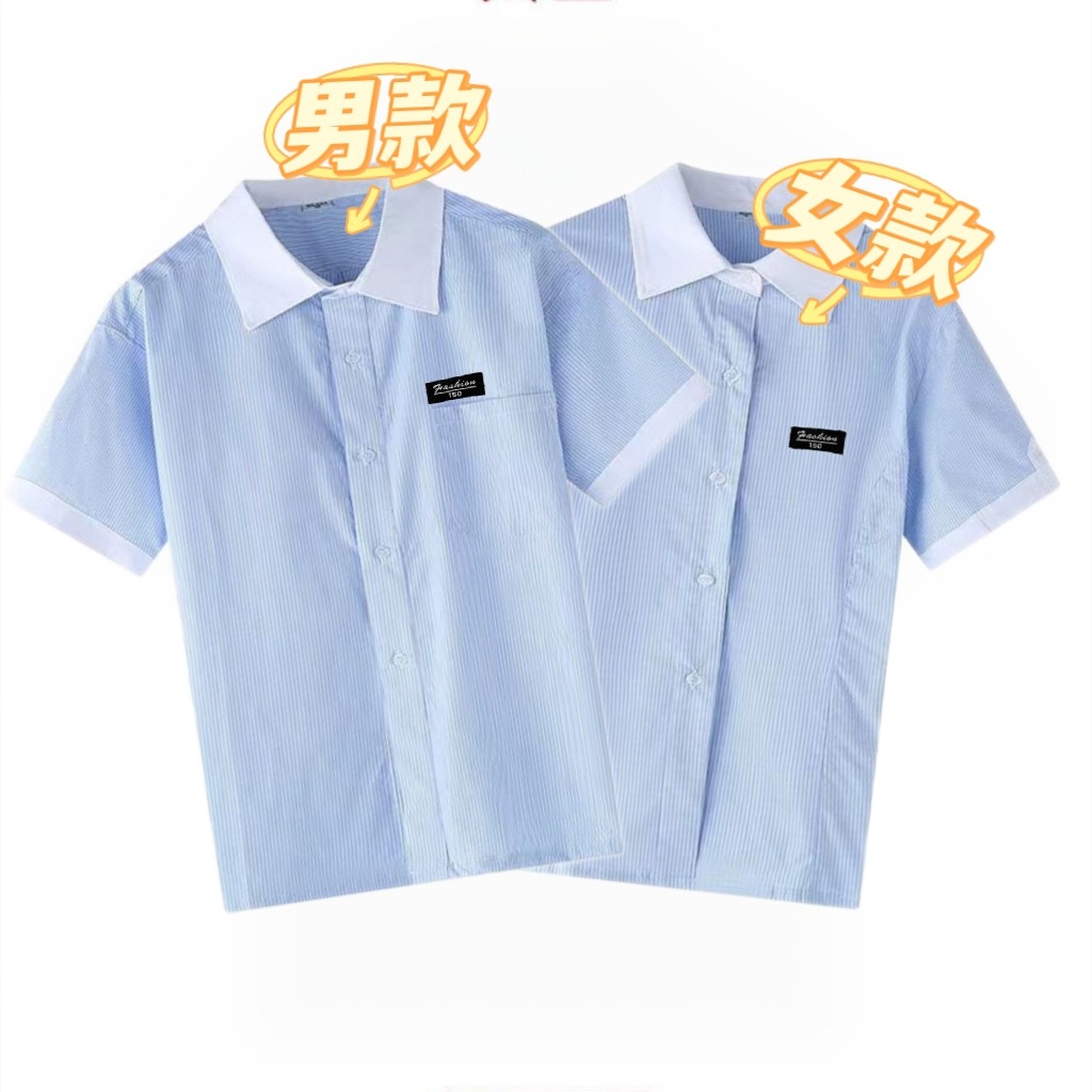 兰细条初中短袖济南历下校服同款