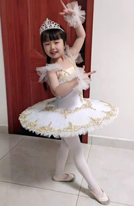 芭蕾舞裙女童蓬蓬裙儿童专业舞蹈服公主裙演出服tutu纱裙表演服秋