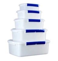 Набор из пяти предметов с запечатанной двойной пряжкой