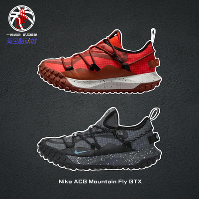 NikeACGMountainFlyGTX户外鞋