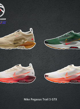 Nike Pegasus Trail 5 GTX卡其棕耐克防水户外越野跑鞋IM6701-252