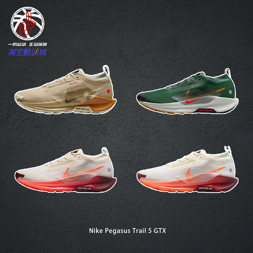 NikePegasusTrail5GTX越野鞋