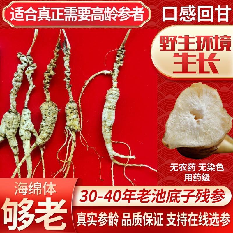 长白山40年底子干货高端林下参