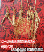 东北长白山林下正宗人参新货老山参移野山参残参片干货泡酒溜达鸡