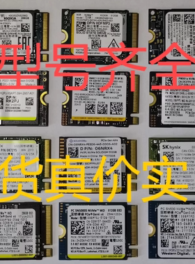 2230固态硬盘海力士PVC10东芝BG6西数SN740三星PM9C1a-NVME协议