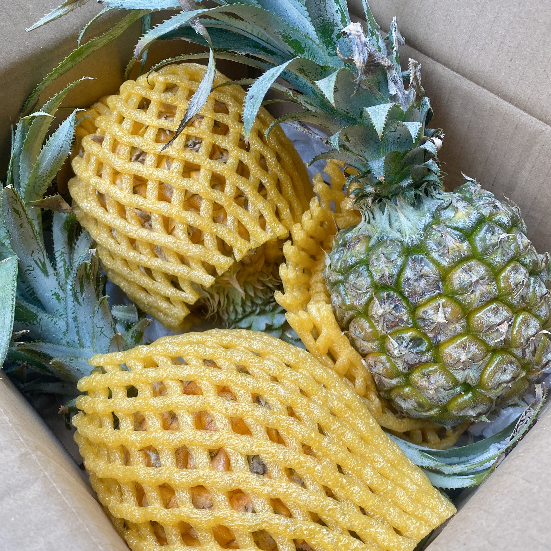 4.5�� Լ2-3�� J������˺���桾�ڸ�ϲ�ò��ۺ�ͨ����ù�Ƥ���˸���