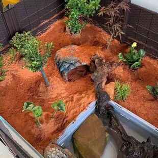 纯天然红土黄安缘龟缸造景专用泥颗粒无菌土保湿垫材陆龟爬宠用品