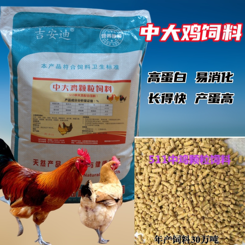 中大鸡小鸡高蛋白全价饲料易吸收