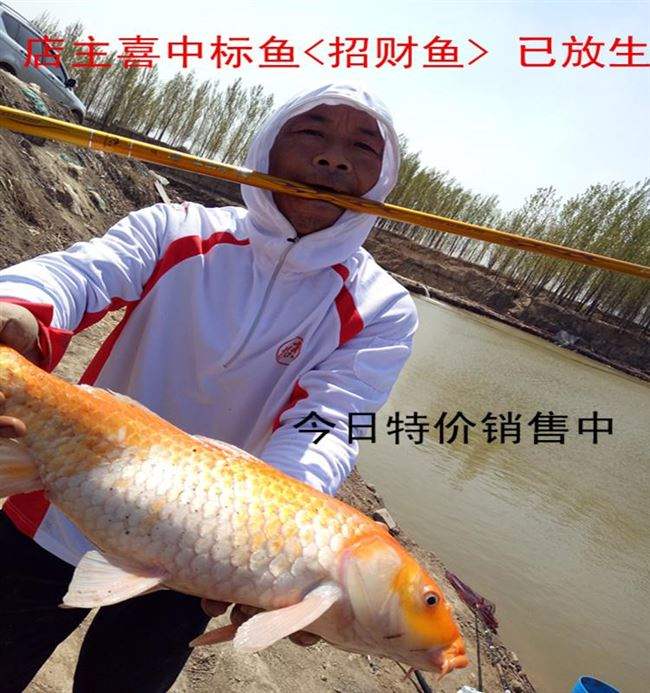 金箍棒高碳素8H鱼竿19调台钓竿超轻鲤杆罗非竿黑坑超硬战斗竿飞鱼