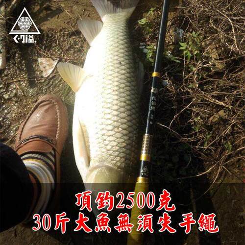 台湾久溢松锦鲤钓鱼竿28调鲤鱼竿 5.4米台钓竿 大物长节手竿