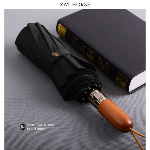 自动伞RAYHORSE三折10骨