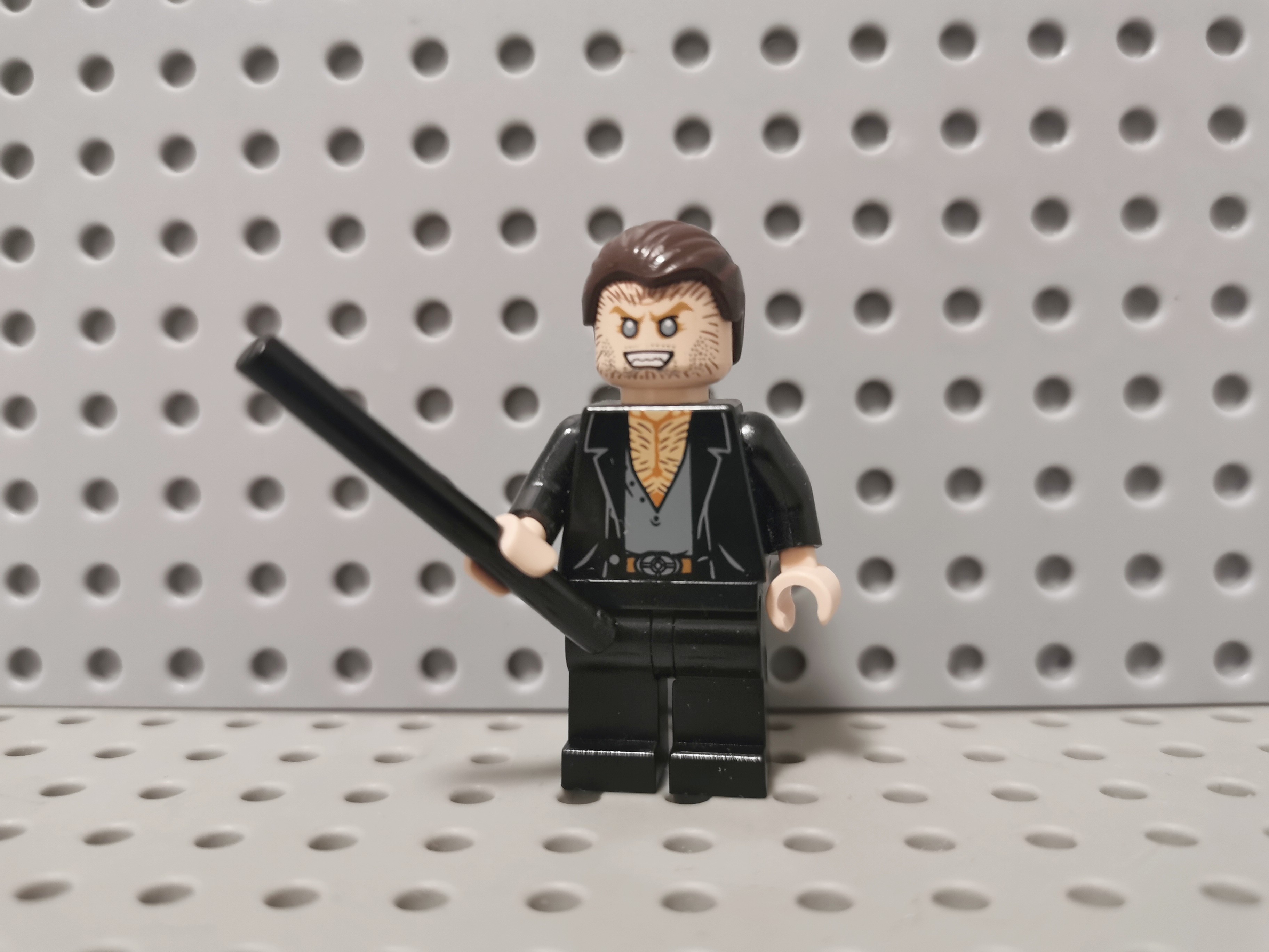 乐高哈利波特人仔 LEGO  hp091 芬里尔 格雷伯克4840 1021图片
