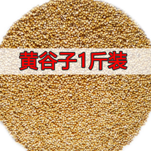 新黄谷子带壳小米虎皮牡丹玄凤中小型鹦鹉文鸟鸟粮鸟食鸟饲料1斤