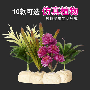 绿植多种类装饰性造景仿真植物爬宠陆龟蜥蜴变色龙蛇爬虫雨林箱