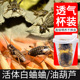 杯装 白蟋蟀黑蟋蟀针头蟋蟀活体蛐蛐油葫芦龙鱼角蛙守宫蜥蜴鸟食