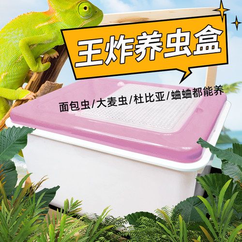 爬宠A1专业养虫盒透气漏粪防逃防臭面包虫杜比亚 蛐蛐防逃饲养盒