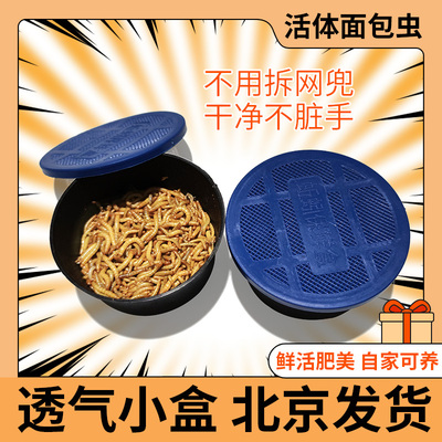 活体黄粉虫面包虫黄粉虫饲料nomo