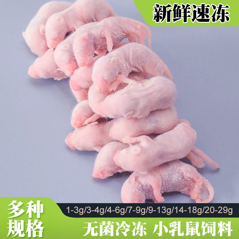 速冻红皮粉皮白霜小白鼠乳鼠新鲜冷冰冻蛇类守宫幼猫龟饲料粮包邮
