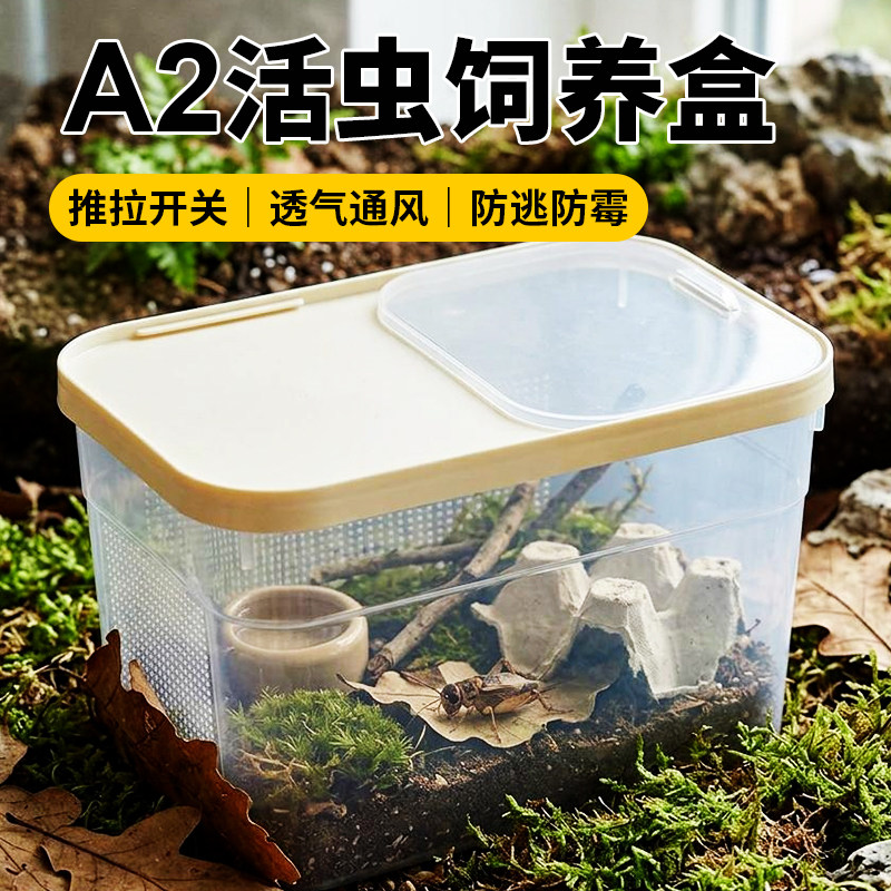 A2饲养盒蛐蛐面包虫杜比亚翻盖透气透明漏粪防逃防臭昆虫饲养盒