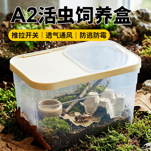 A2饲养盒蛐蛐面包虫杜比亚翻盖透气透明漏粪防逃防臭昆虫饲养盒