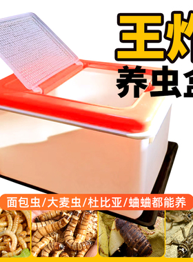 爬宠箱A1饲养盒透气漏粪防逃防臭面包虫杜比亚蛐蛐防逃专业养虫盒