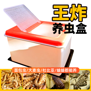 爬宠箱A1饲养盒透气漏粪防逃防臭面包虫杜比亚蛐蛐防逃专业养虫盒