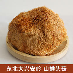 东北特产猴头菇新货山货猴头菇黑龙江大兴安岭猴头菇500克可打粉