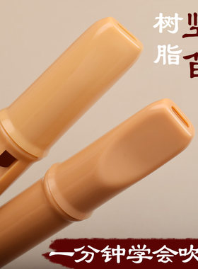 树脂民乐笛子初学演奏成人6儿童A六孔F入门便携小乐器G调竖笛