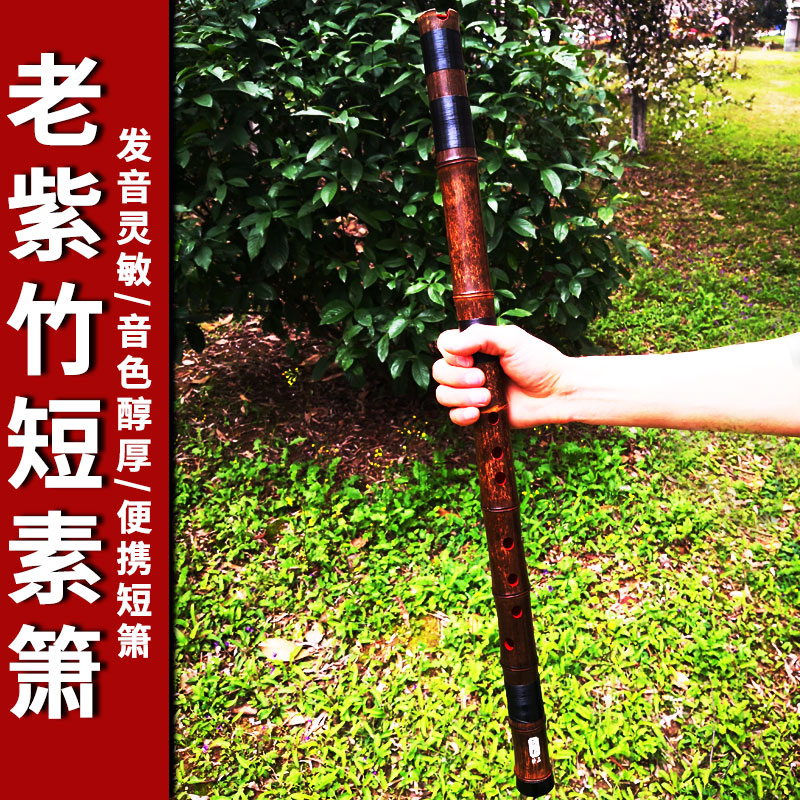紫竹一节老料短素洞箫专业演奏考级短箫F成人初学八孔G调箫笛乐器