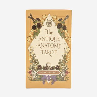 新款The antique anatomy tarot古体解剖塔罗卡牌跨境热门款