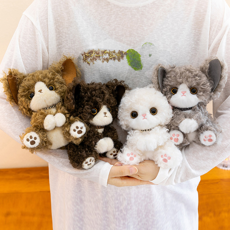 正版四色卷毛德文猫仿真公仔玩偶可爱女生毛绒玩具猫咪桌伴礼物