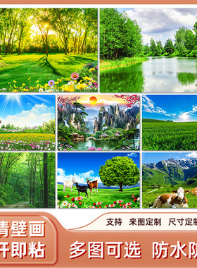 阳光草原草地草坪壁纸墙贴自粘画青草绿色草场大自草丛然风景观画