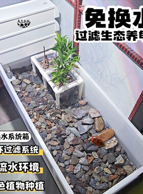 生态龟箱循环过滤养龟箱免换水防生态溪流缸小乌龟缸家用植物造景
