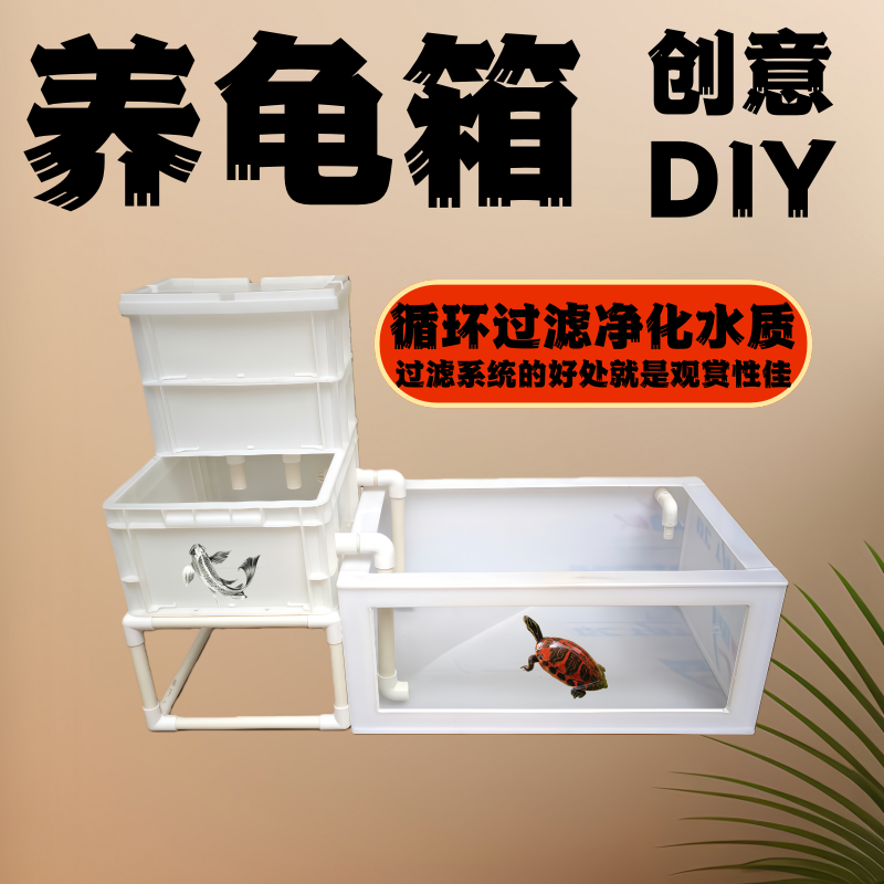 果核剃刀麝香蛋龟养殖繁殖乌龟箱