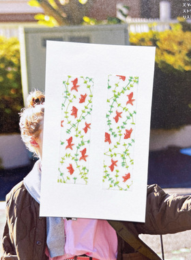 浮光分装 水草金鱼 古早风的基础款！MT手帐胶带 基础款