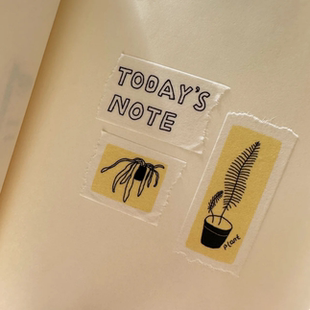 fine day today 浮光分装 很有趣 one not 胶带 SaltDog盐狗