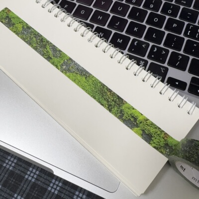 浮光分装 MT百年限定 苔藓 自留款 手帐胶带