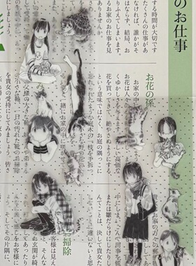 浮光分装 苹果爸爸2025小猫微笑日杂出摊花园修学之旅胶带装饰