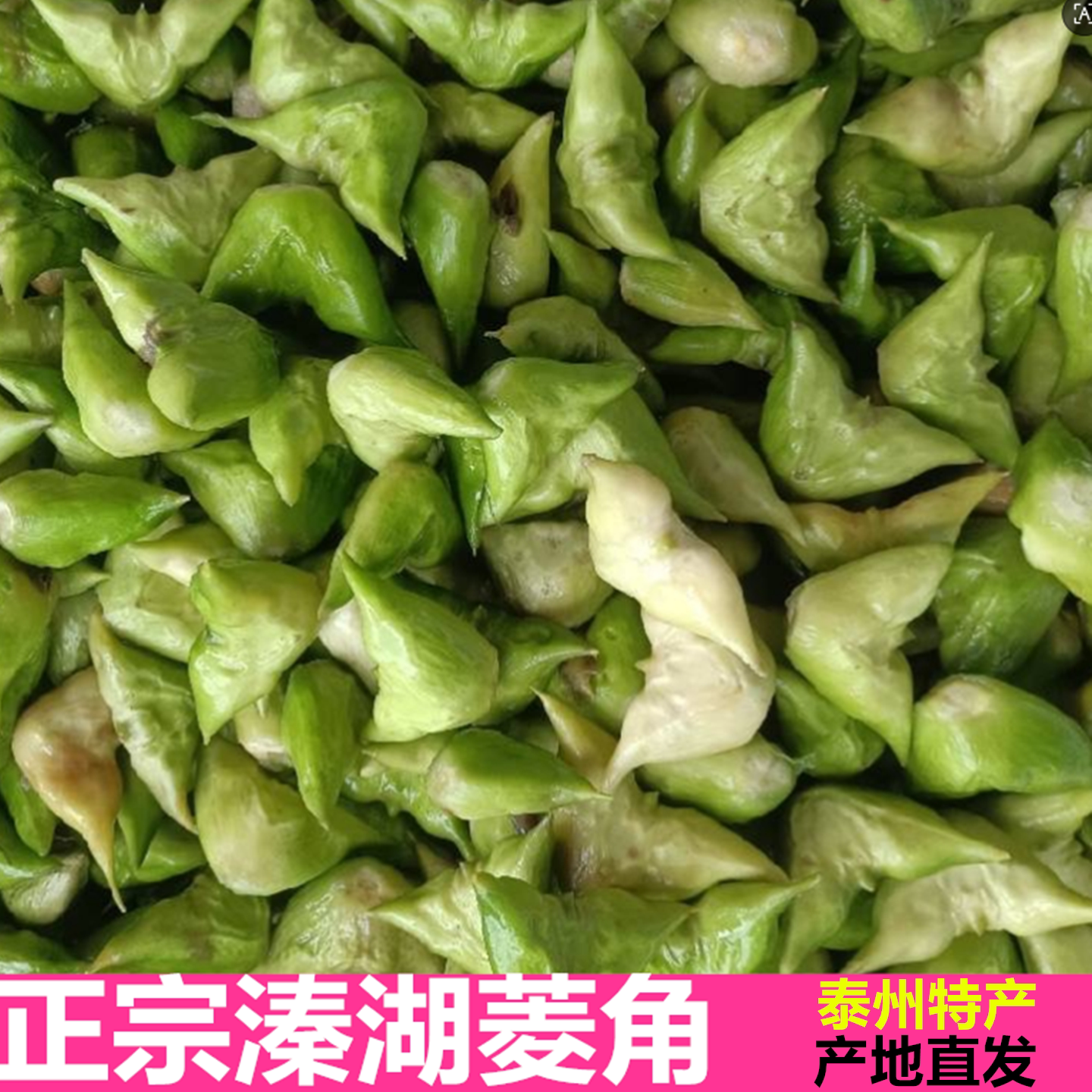 泰州产地直发溱湖菱角粉糯5斤装